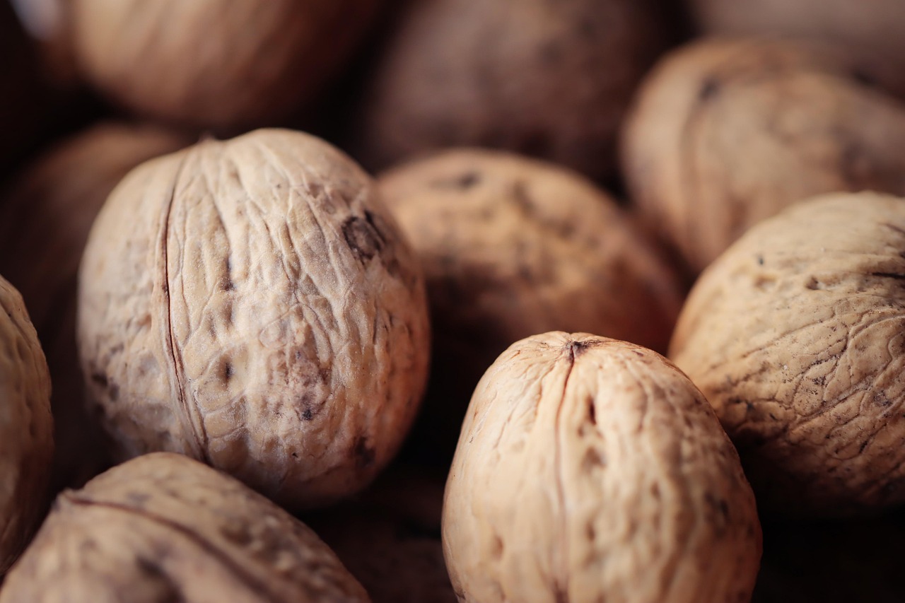 澳门高希霸俱乐部（50支）：鹤庆县专业代理注册