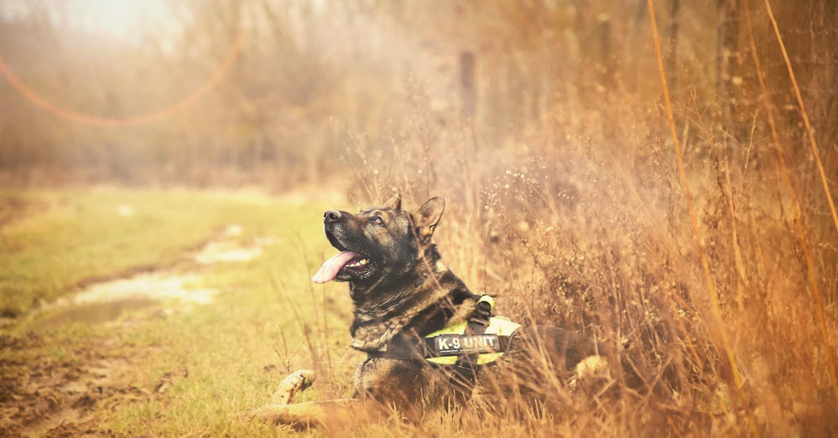 解读免费压力测试网站- 隐藏应用APP详情下载教程