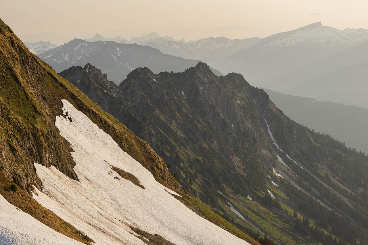 横扫千军：高陵区工商注册代理费用