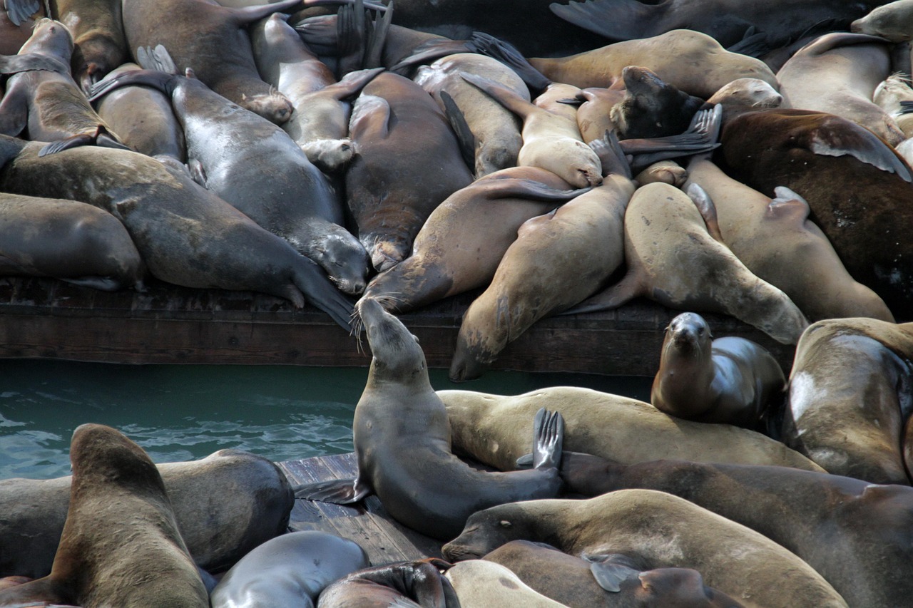 凹凸世界：莱山区商标注册代理机构