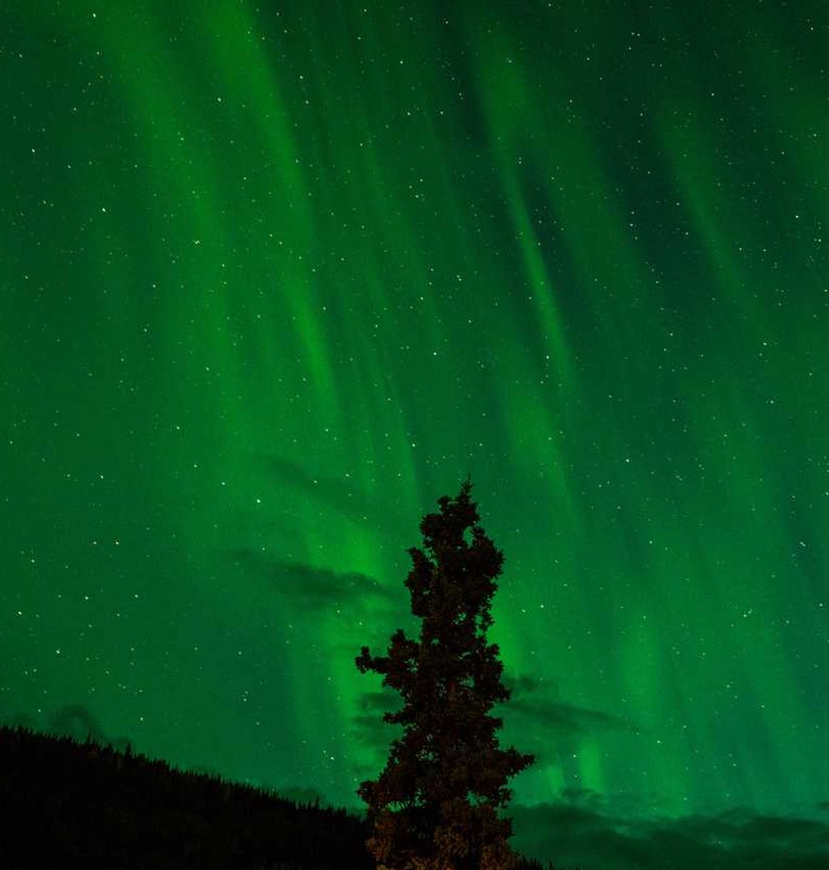 炸房器|岚山先锋app详情下载教程